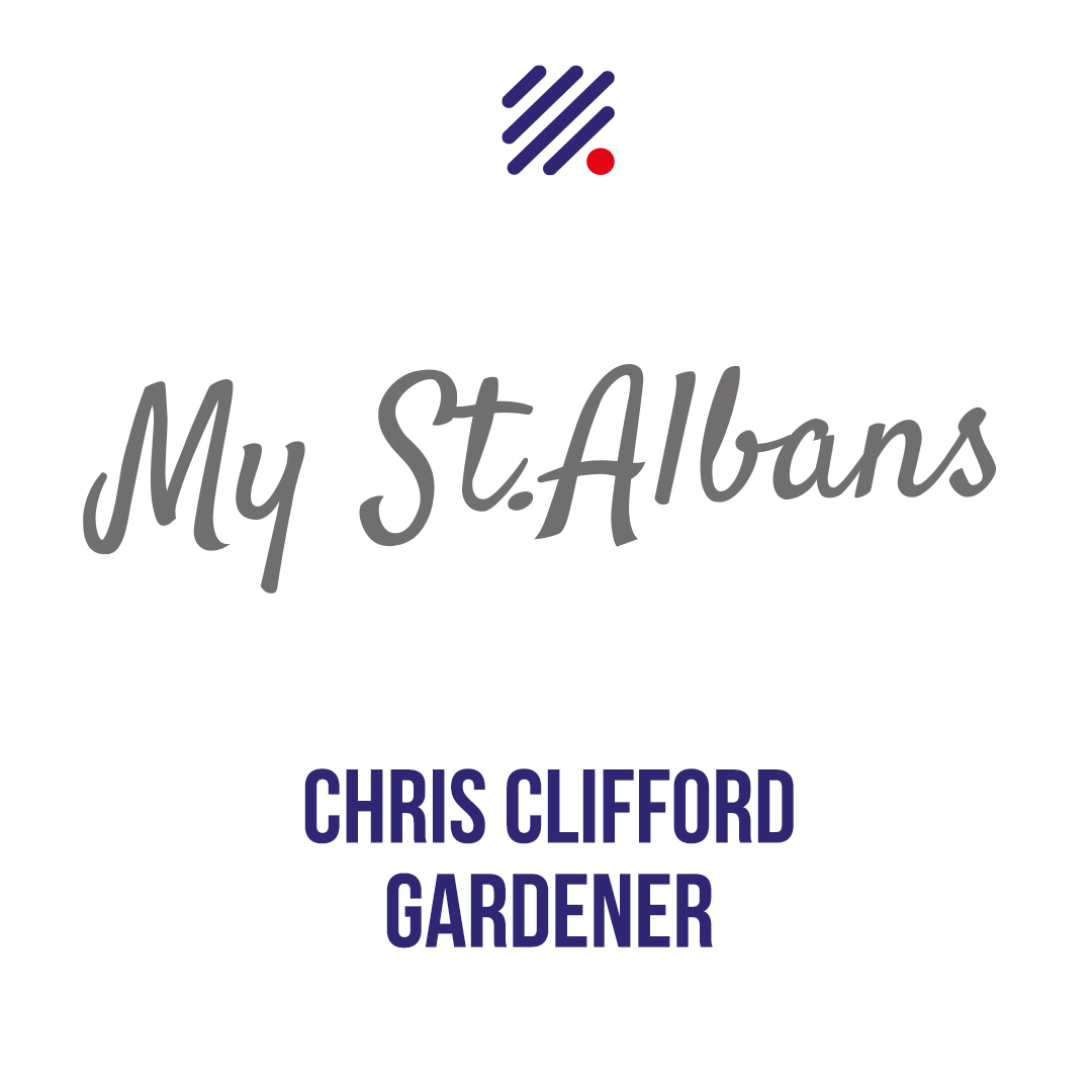 My St Albans – Matt Bigg talks to Chris Clifford episode artwork